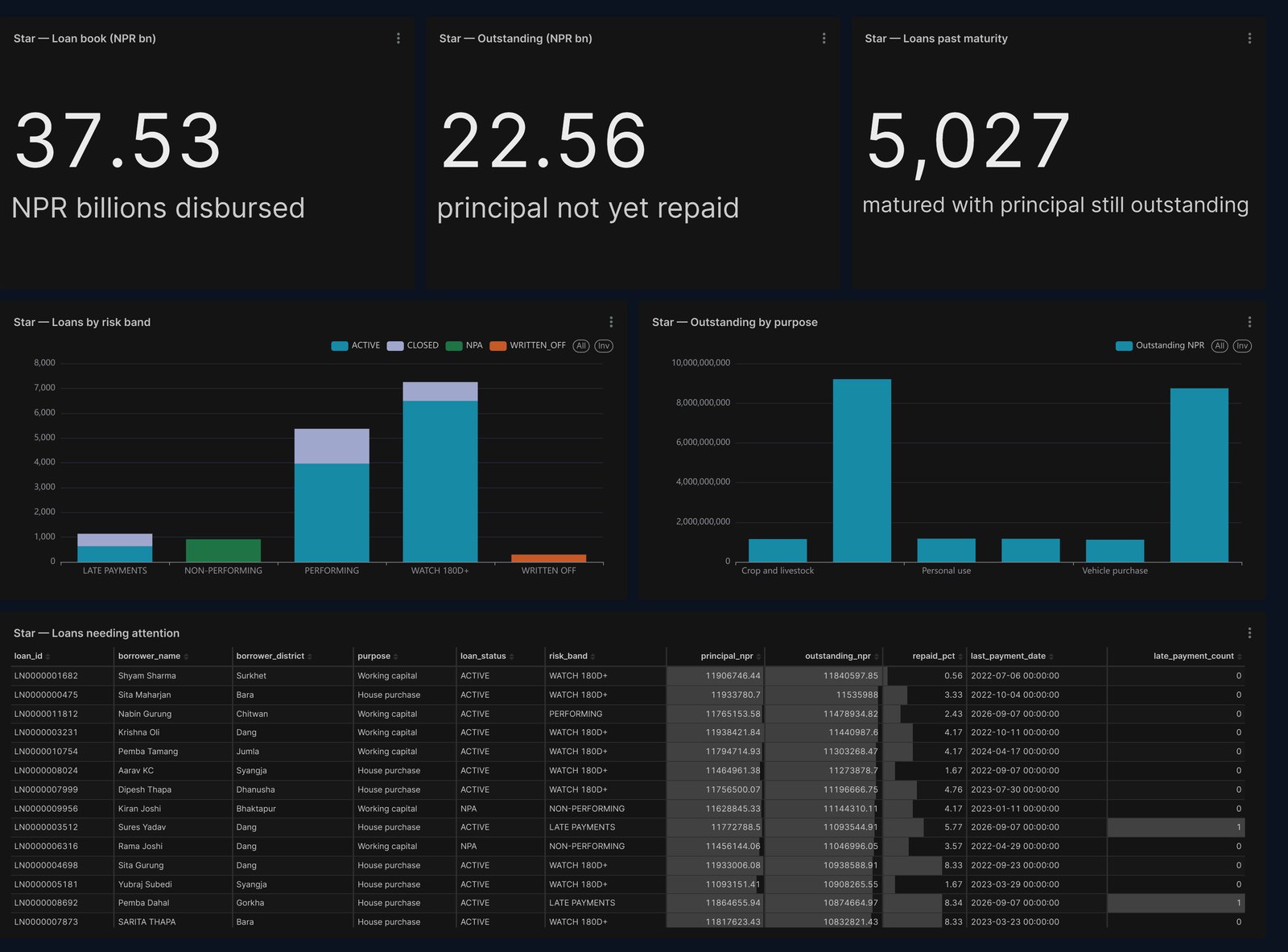 Loan 360 dashboard: loan book and outstanding principal, loans past maturity, loans by risk band, outstanding by purpose and the loans needing attention